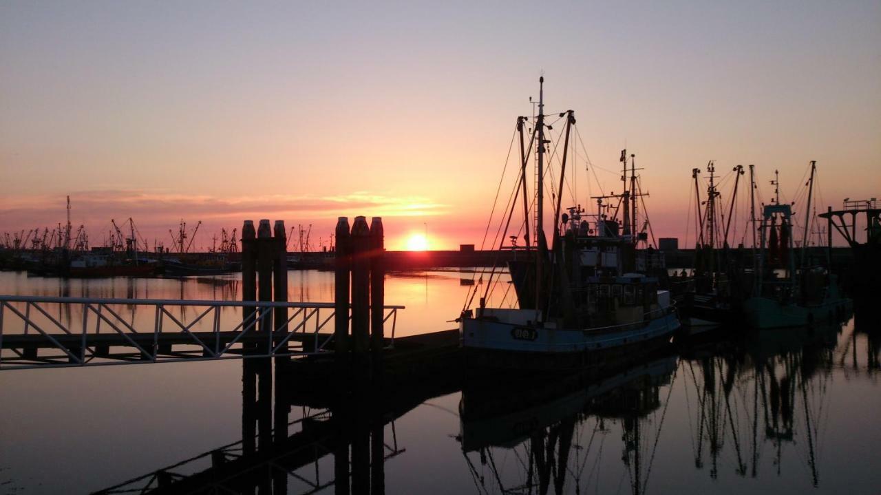 Wad Else Vila Lauwersoog Exterior foto